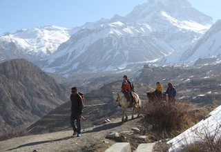Jomsom Muktinath Trek for families (Perfect Holiday for Monsoon), 10 Days 