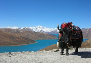Tibet Lhasa Tour with Namtso Lake, 7 Days (Private Tour)