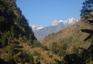 Tsum Valley and Manaslu Trek traverse Larkya-La Pass, 23 Days