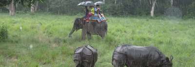 Chitwan Nationalpark Tourpaket, 3 Nächte 4 Tage