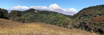 Book this Trip Khopra Ridge Trek (South of Annapurnas), 13 Days 