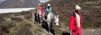 Book this Trip Horse Riding Trek to Langtang Valley (with children or without), 11 Days