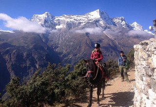 Horse Riding Trek to Everest Panorama (with children or without), 10 Days
