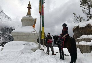 Pferdetrekking zum Everest Panorama (mit oder ohne Kinder), 10 Tage